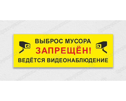 Табличка «Выброс мусора запрещен. Видеонаблюдение»	